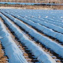 福建各种薄膜回收